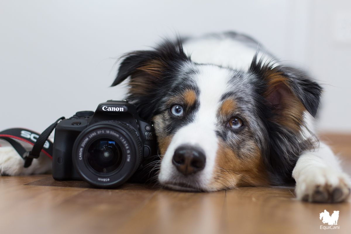 Mein ganzes Fotoequipment
