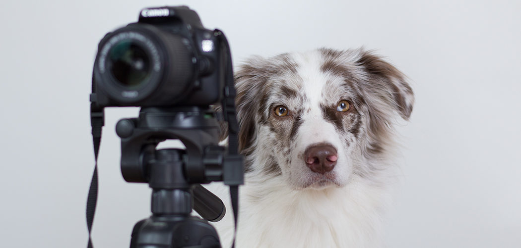 Mein ganzes Fotoequipment