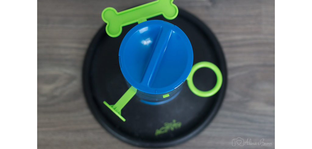 Indoor-Beschäftigungsideen Intelligenzspielzeuge